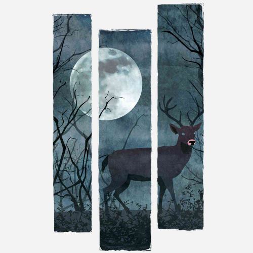 Night Deer